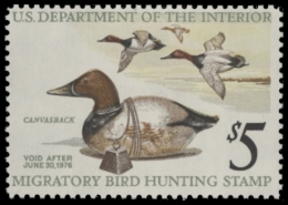 Picture of RW42 1975 Duck Stamp  MNH F-VF