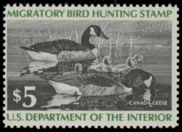 Picture of RW43 1976 Duck Stamp  MNH F-VF