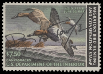 Picture of RW49 1982 Duck Stamp  Used F-VF