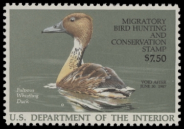 Picture of RW53 1986 Duck Stamp  MNH F-VF