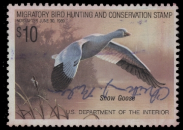 Picture of RW55 1988 Duck Stamp  Used F-VF