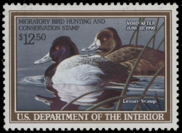 Picture of RW56 1989 Duck Stamp  Unsigned F-VF