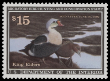 Picture of RW58 1991 Duck Stamp  MNH F-VF