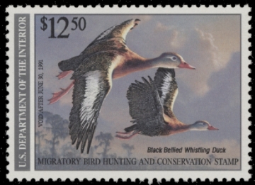 Picture of RW57 1990 Duck Stamp  MNH F-VF