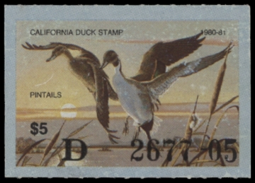 Picture of 1980 California Duck Stamp MNH VF
