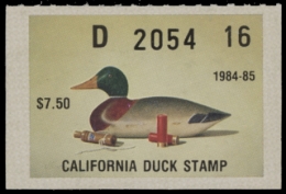 Picture of 1984 California Duck Stamp MNH VF