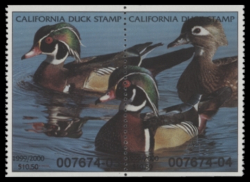 Picture of 1999 California Duck Stamp MNH VF