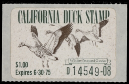 Picture of 1974 California Duck Stamp MNH VF