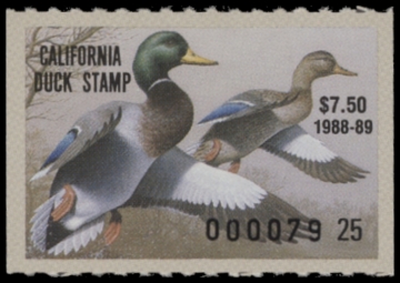 Picture of 1988 California Duck Stamp MNH VF