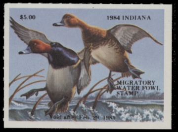 Picture of 1984 Indiana Duck Stamp MNH VF