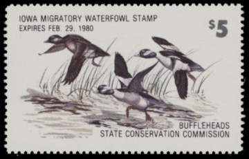 Picture of 1979 Iowa Duck Stamp MNH VF