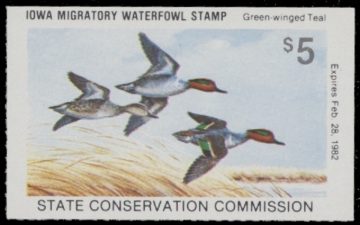 Picture of 1981 Iowa Duck Stamp MNH VF