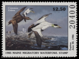 Picture of 1985 Maine Duck Stamp MNH VF