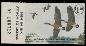 Picture of 1975 Maryland Duck Stamp MNH VF