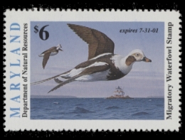 Picture of 2000 Maryland Duck Stamp MNH VF