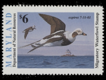 Picture of 2000 Maryland Duck Stamp MNH VF