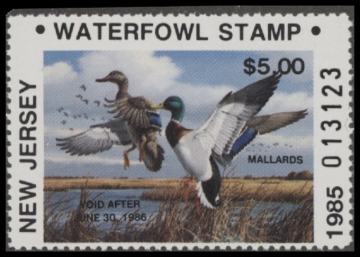 Picture of 1985 New Jersey Duck Stamp  MNH VF