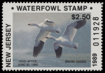 Picture of 1989 New Jersey Duck Stamp MNH VF