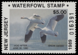 Picture of 1989 New Jersey NR Duck Stamp MNH VF