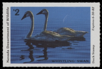 Picture of 1981 Nevada Duck Stamp MNH VF