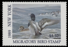 Picture of 1989 New York Duck Stamp MNH VF