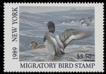 Picture of 1989 New York Duck Stamp MNH VF