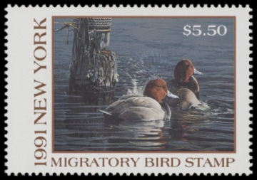 Picture of 1991 New York Duck Stamp MNH VF