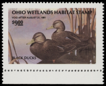 Picture of 1990 Ohio Duck Stamp MNH VF