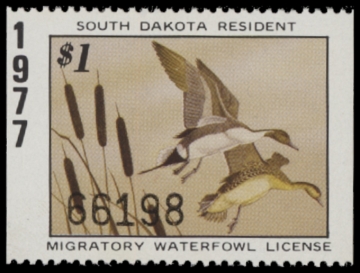 Picture of 1977 South Dakota Duck Stamp MNH VF