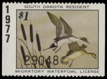 Picture of 1977 South Dakota Duck Stamp MNH VF