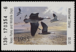 Picture of 1985 Texas Duck Stamp MNH VF
