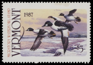 Picture of 1987 Vermont Duck Stamp MNH VF
