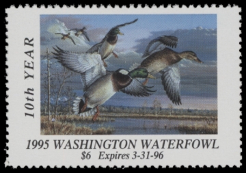 Picture of 1995 Washington Duck Stamp MNH VF