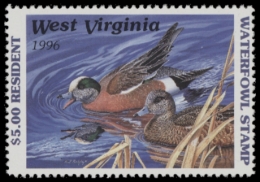 Picture of 1996 West Virginia Duck Stamp MNH VF