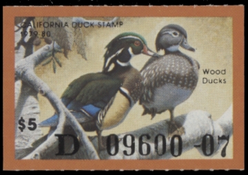 Picture of 1979 California Duck Stamp MNH VF