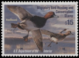 Picture of RW71 2004 Duck Stamp  MNH F-VF