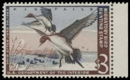 Picture of RW29 1962 Duck Stamp  MLH F-VF
