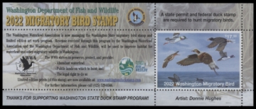 Picture of 2022 Washington Duck Stamp MNH VF