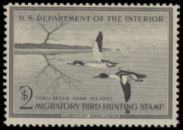 Picture of RW23 1956 Duck Stamp  MNH F-VF