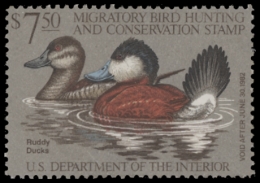 Picture of RW48 1981 Duck Stamp  Unsigned F-VF
