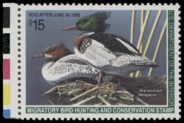 Picture of RW61 1994 Duck Stamp  MNH VF