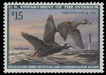 Picture of RW63 1996 Duck Stamp  MNH F-VF