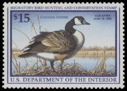 Picture of RW64 1997 Duck Stamp  MNH F-VF