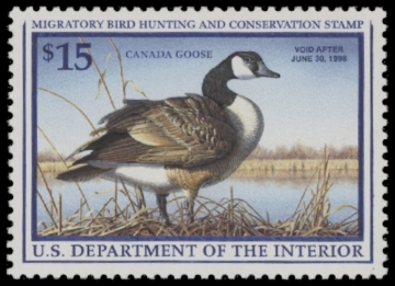 Picture of RW64 1997 Duck Stamp  MNH F-VF