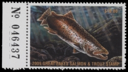 Picture of 2009 Wisconsin Great Lakes Salmon & Trout Stamp  MNH VF