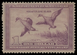 Picture of RW5 1938 Duck Stamp  Unsigned F-VF