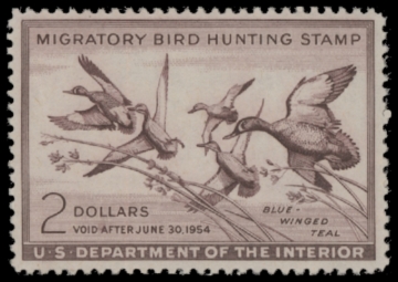 Picture of RW20 1953 Duck Stamp  MNH F-VF