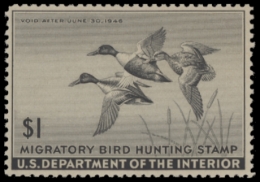 Picture of RW12 1945 Duck Stamp  MNH F-VF