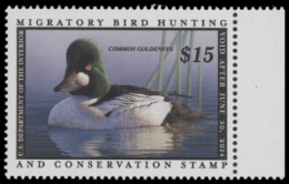 Picture of RW80 2013 Duck Stamp  MNH F-VF