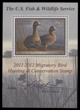 Picture of RW78B 2011 Duck Stamp  MNH F-VF
